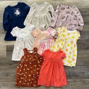 Set of 8 Assorted 2T Dresses